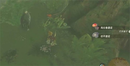 塞尔达传说王国之泪独角仙在哪