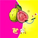 蝌蚪影视在线下载