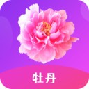 夜色影视app下载入口